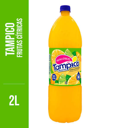 SUCO TAMPICO - 06X2L